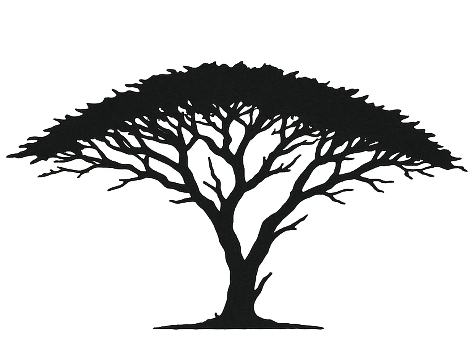 blackthorn tree